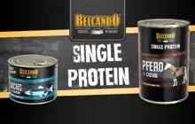 Immagine del brand BELCANDO SINGLE PROTEIN