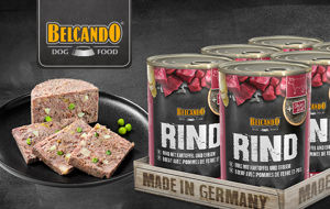 Immagine del brand BELCANDO SUPER PREMIUM lattine