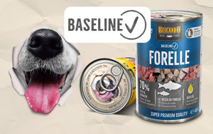 Immagine del brand BELCANDO BASELINE