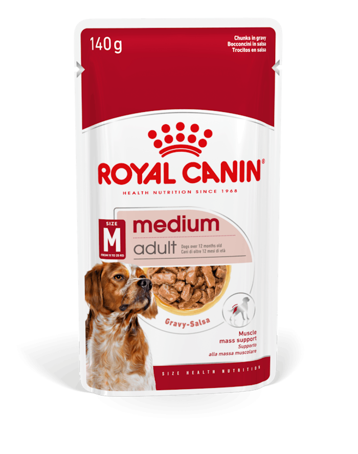 CHN WET MEDIUM ADULT Gr 140