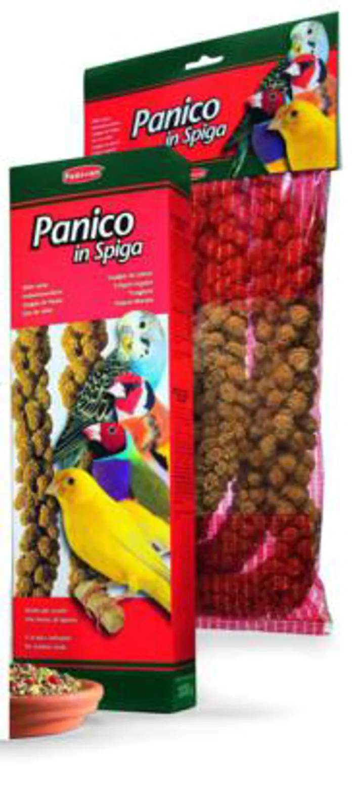 PANICO IN SPIGA gr 100