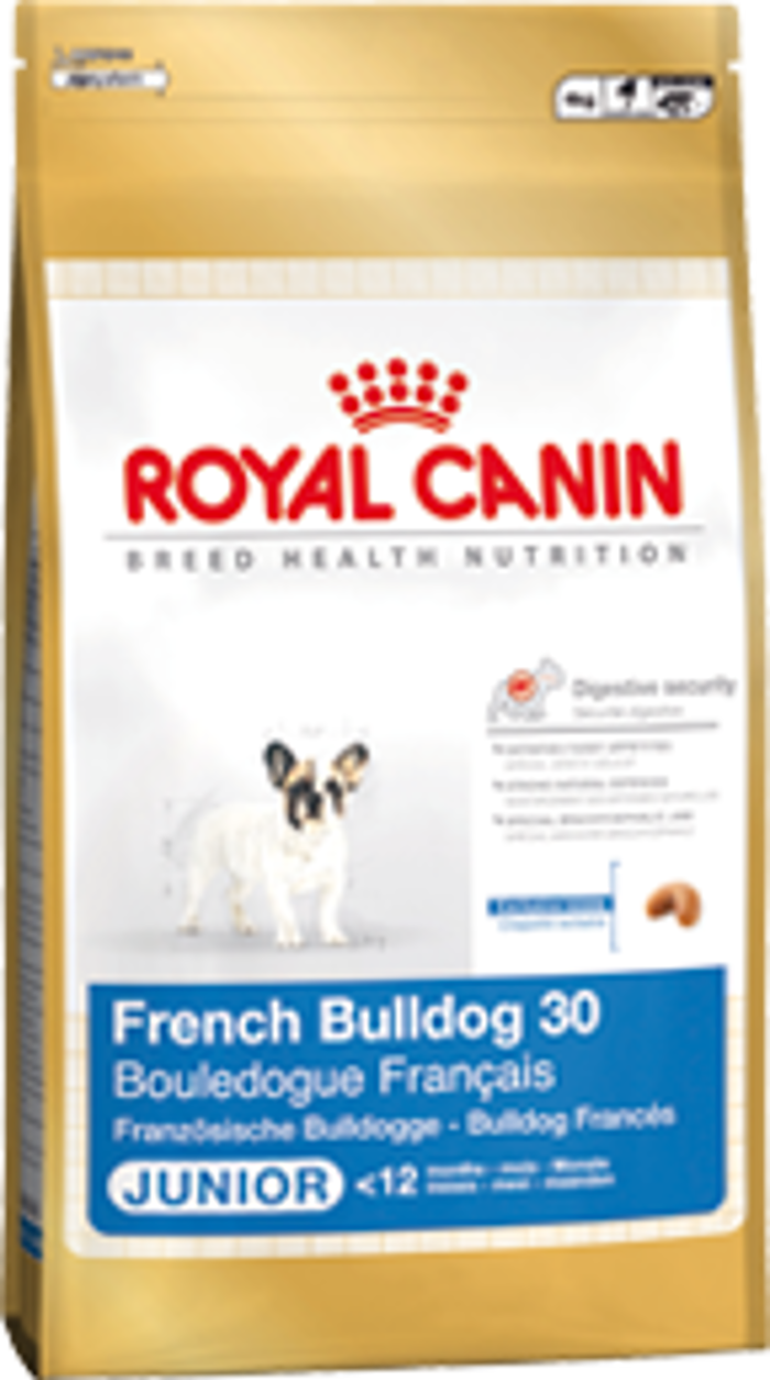 BHN BULLDOG FRANCESE JUNIOR Kg1 
