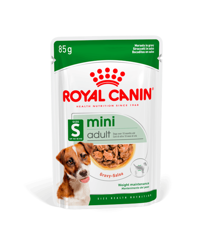 CHN WET MINI ADULT Gr 85