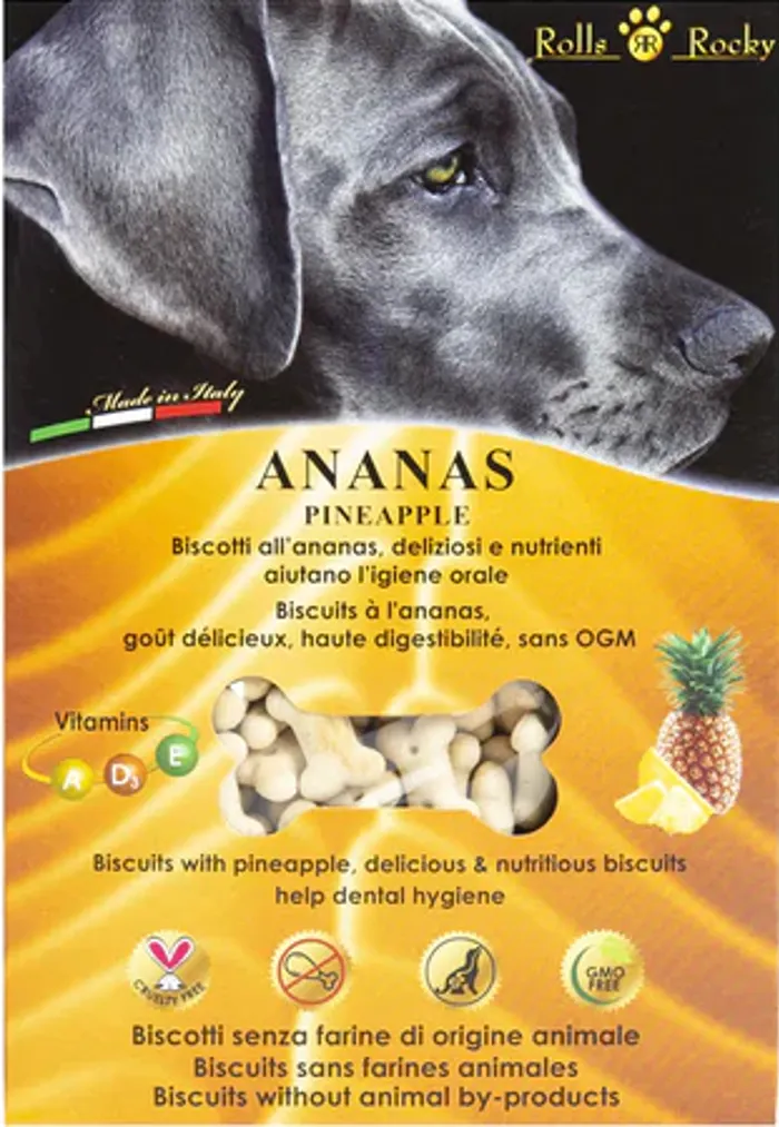  MICROS ANANAS Gr 300