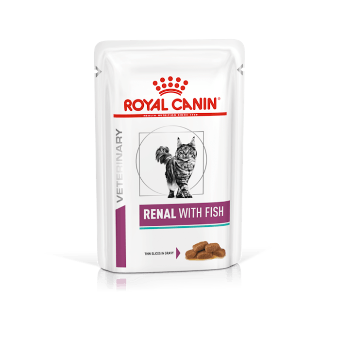 WET CAT RENAL PESCE Gr 85 confezione da 12 bustine