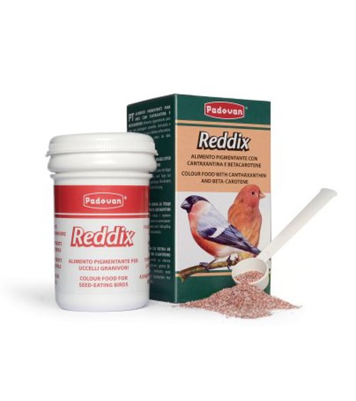 REDDIX gr 30