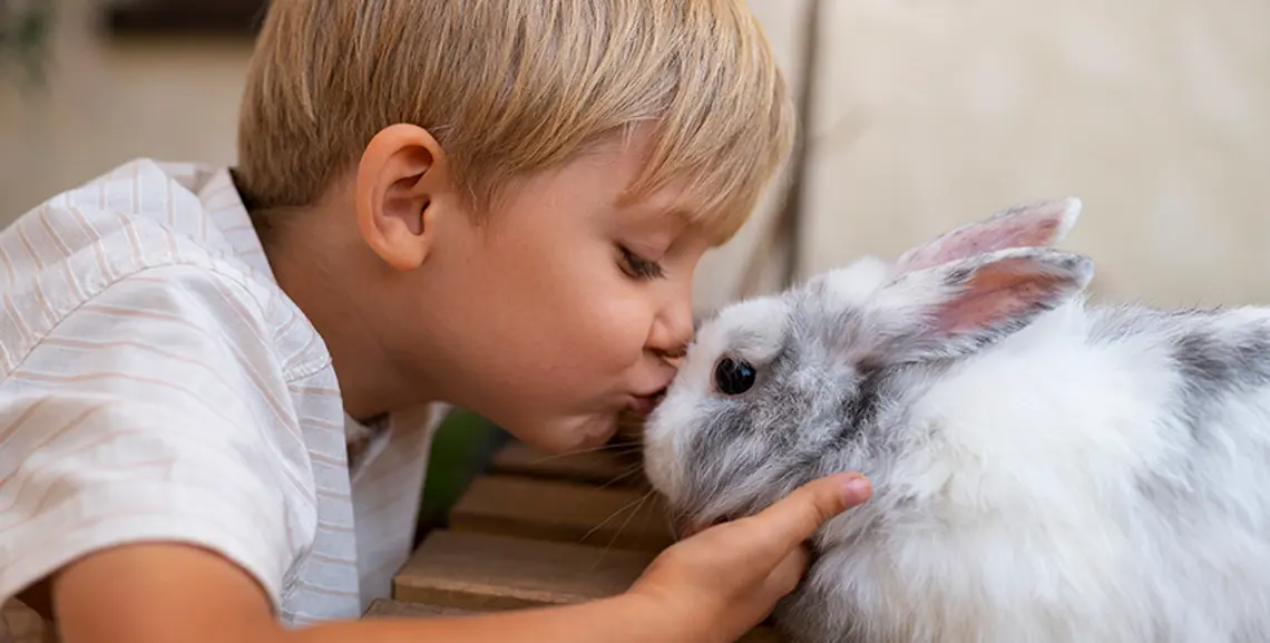 Come affrontare la muta del coniglio: 4 consigli essenziali