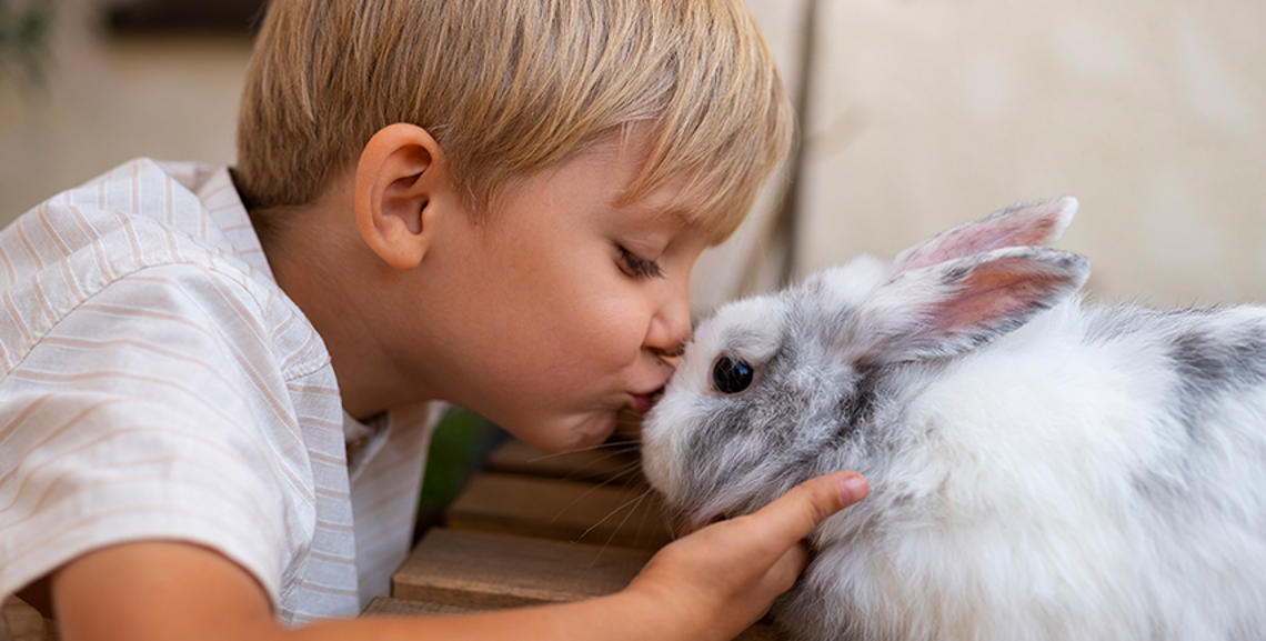 Come affrontare la muta del coniglio: 4 consigli essenziali