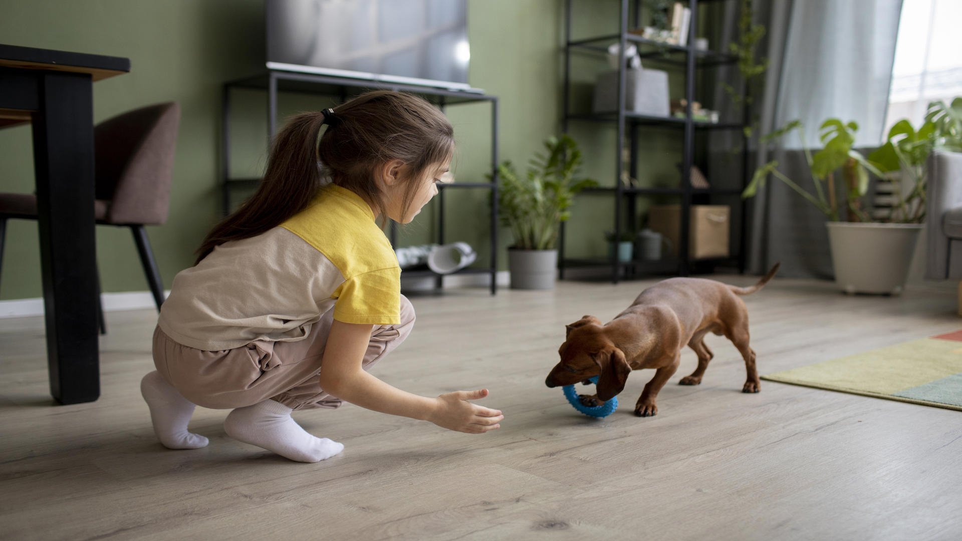 Benessere dei Pet: i Benefici del Gioco sulla Salute degli Animali Domestici